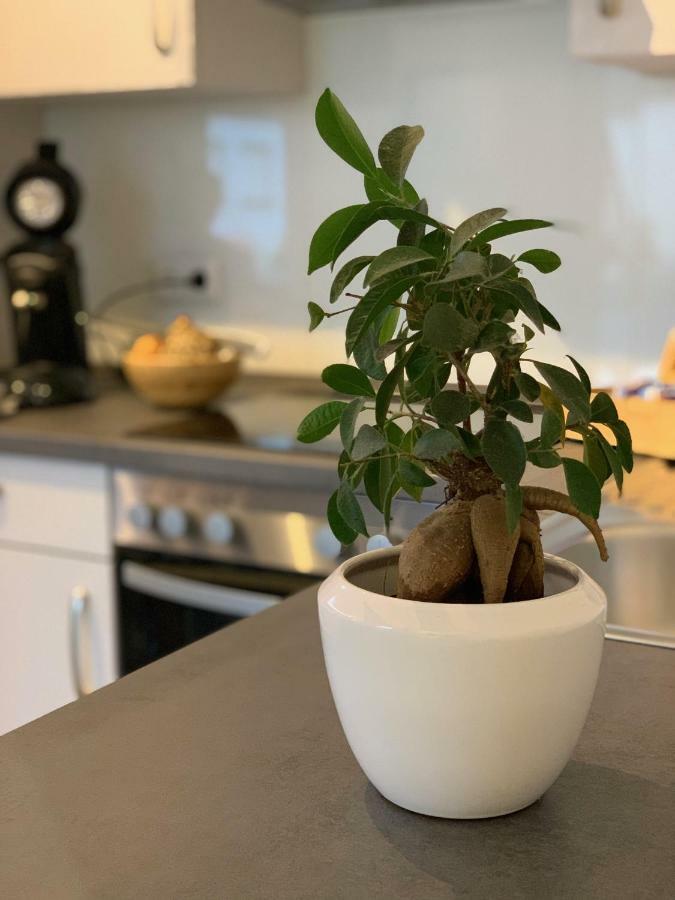 Apartment Koeln Ensen Eksteriør bilde