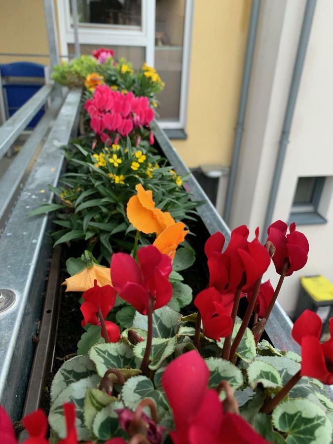 Apartment Koeln Ensen Eksteriør bilde